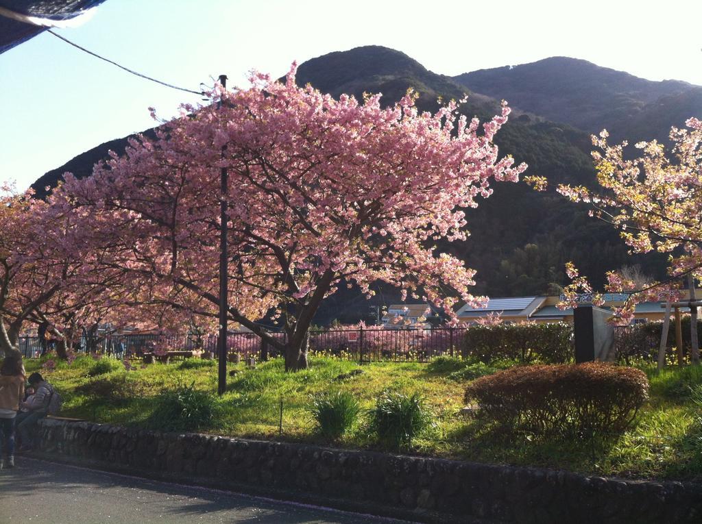Hareya Hotel Shimoda  Exterior photo