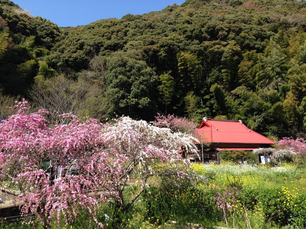 Hareya Hotel Shimoda  Exterior photo